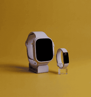 Wearable Device Loans